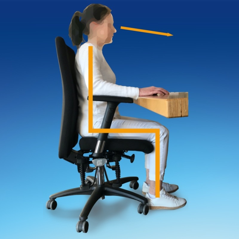 ERGOFIT ergonomisch sitzen ERGOFIT ergonomisch sitzen