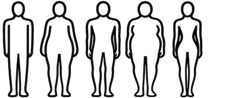 Körperformen 2025 Körperformen ERGOFIT orthopädische Matratze