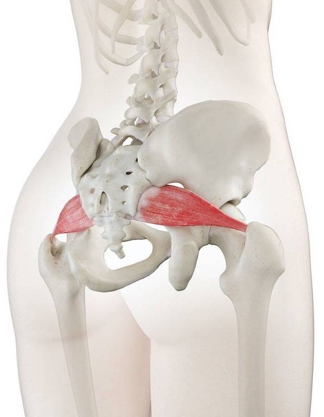 Piriformis-Syndrom ERGOFIT Piriformis-Syndrom ERGOFIT