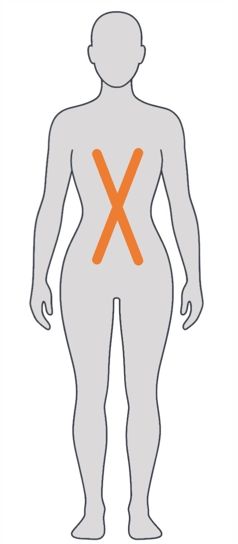 Körperform X mit ausgeprägter Taille und ähnlicher Breite von Schultern und Becken